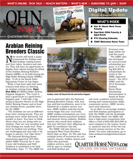 Arabian Reining Breeders Classic