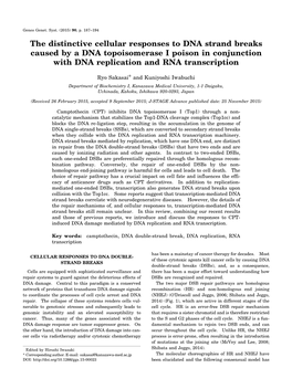 The Distinctive Cellular Responses to DNA Strand Breaks Caused by a DNA Topoisomerase I Poison in Conjunction with DNA Replication and RNA Transcription