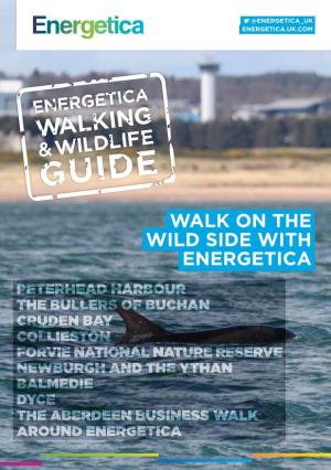 Walk on the Wild Side with Energetica