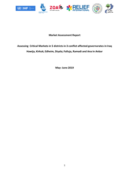 Market Assessment Report