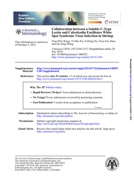 Spot Syndrome Virus Infection in Shrimp Lectin and Calreticulin