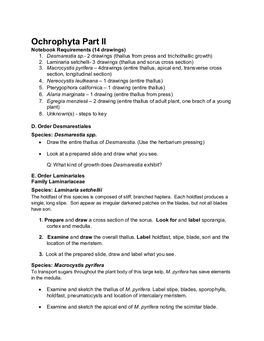 Ochrophyta Part II Notebook Requirements (14 Drawings) 1