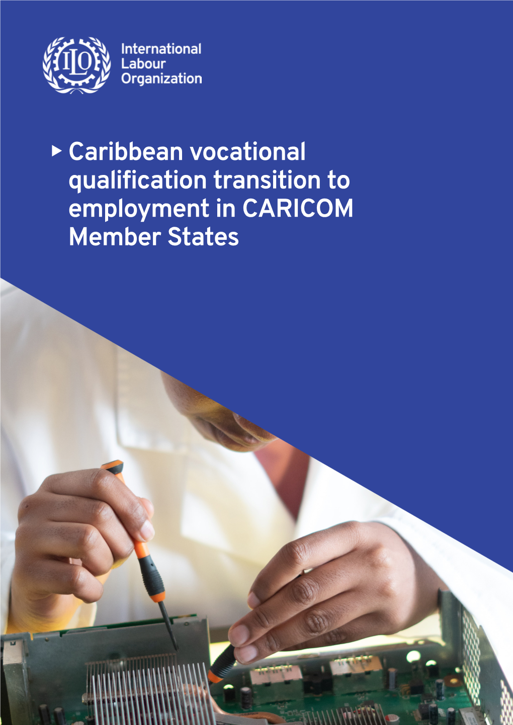 Qualification Transition to Employment in CARICOM Member States