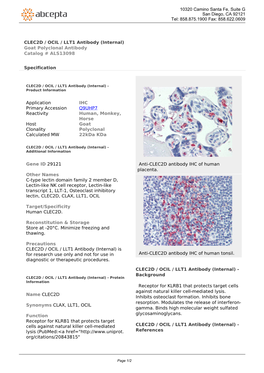CLEC2D / OCIL / LLT1 Antibody (Internal) Goat Polyclonal Antibody Catalog # ALS13098