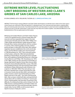 Extreme Water Level Fluctuations Limit Breeding of Western and Clark's Grebes at San Carlos Lake, Arizona