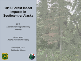2016 Forest Insect Impacts in Southcentral Alaska