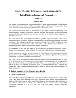 Tribal Nations Issues and Perspectives