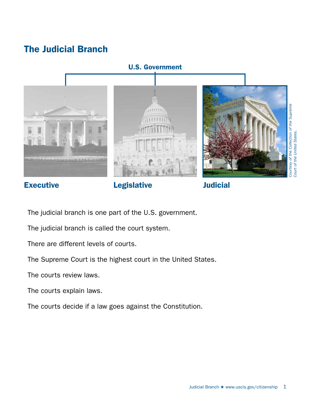 The Judicial Branch