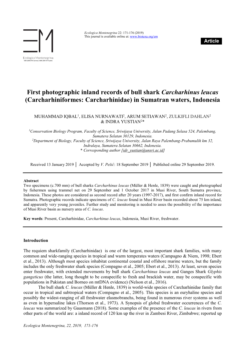 First Photographic Inland Records of Bull Shark Carcharhinus Leucas (Carcharhiniformes: Carcharhinidae) in Sumatran Waters, Indonesia