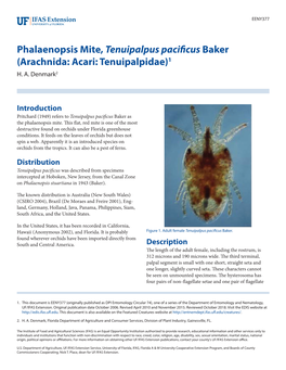 Phalaenopsis Mite, Tenuipalpus Pacificus Baker (Arachnida: Acari: Tenuipalpidae)1 H