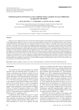 Settlement Pattern of Posidonia Oceanica Epibionts Along a Gradient of Ocean Acidification: an Approach with Mimics L