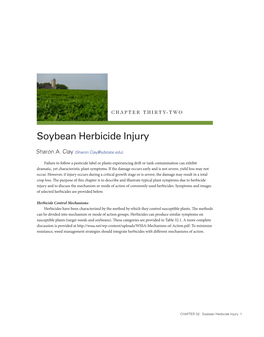 Soybean Herbicide Injury