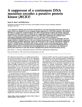 A Suppressor of a Centromere DNA Mutation Encodes a Putative Protein Kinase (MCK1)