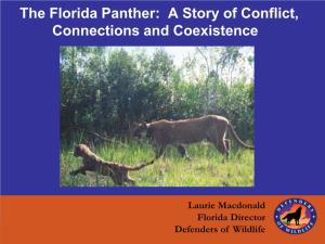 The Florida Panther: a Story of Conflict, Connections and Coexistence