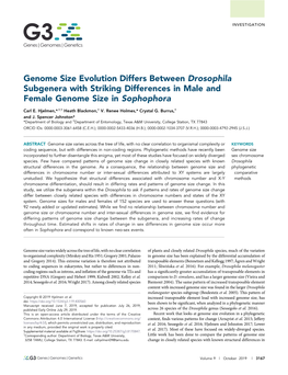 Genome Size Evolution Differs Between Drosophila Subgenera with Striking Differences in Male and Female Genome Size in Sophophora
