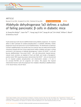 Cells in Diabetic Mice