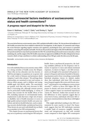 Are Psychosocial Factors Mediators of Socioeconomic Status and Health Connections? a Progress Report and Blueprint for the Future