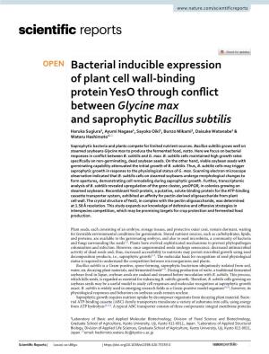 Bacterial Inducible Expression of Plant Cell Wall-Binding Protein Yeso