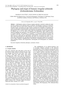 Phylogeny and Origin of Jurassic Irregular Echinoids (Echinodermata: Echinoidea)