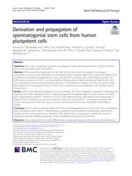 Derivation and Propagation of Spermatogonial Stem Cells From