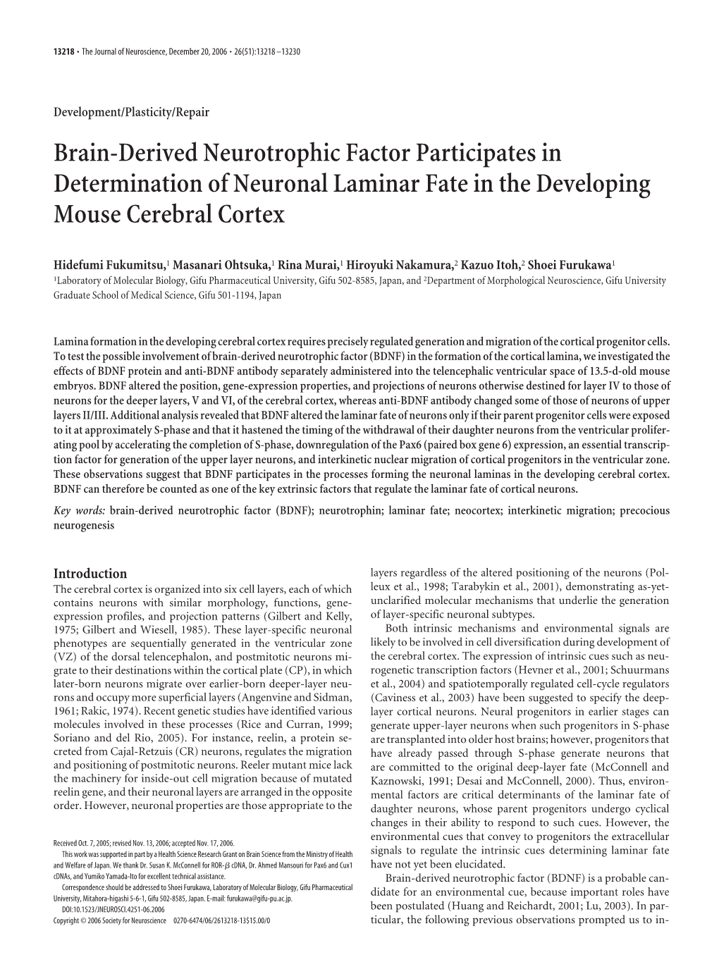 Brain-Derived Neurotrophic Factor Participates in Determination of Neuronal Laminar Fate in the Developing Mouse Cerebral Cortex