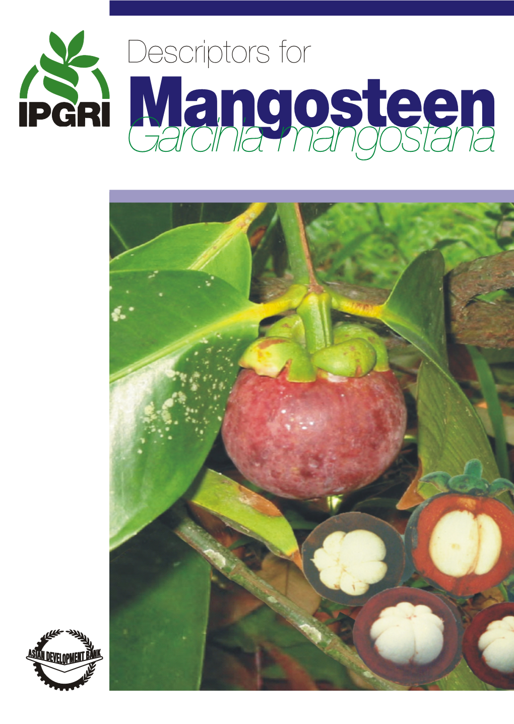 Garcinia Mangostana)