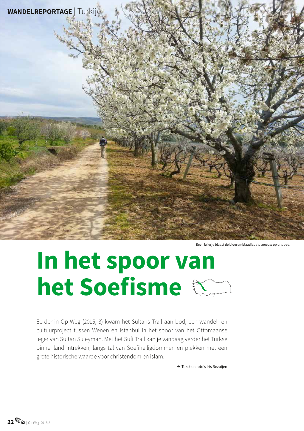 In Het Spoor Van Het Soefisme