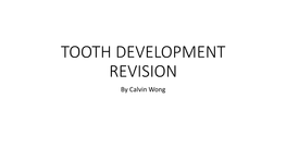 TOOTH DEVELOPMENT REVISION by Calvin Wong BUD STAGE CAP STAGE BELL STAGE