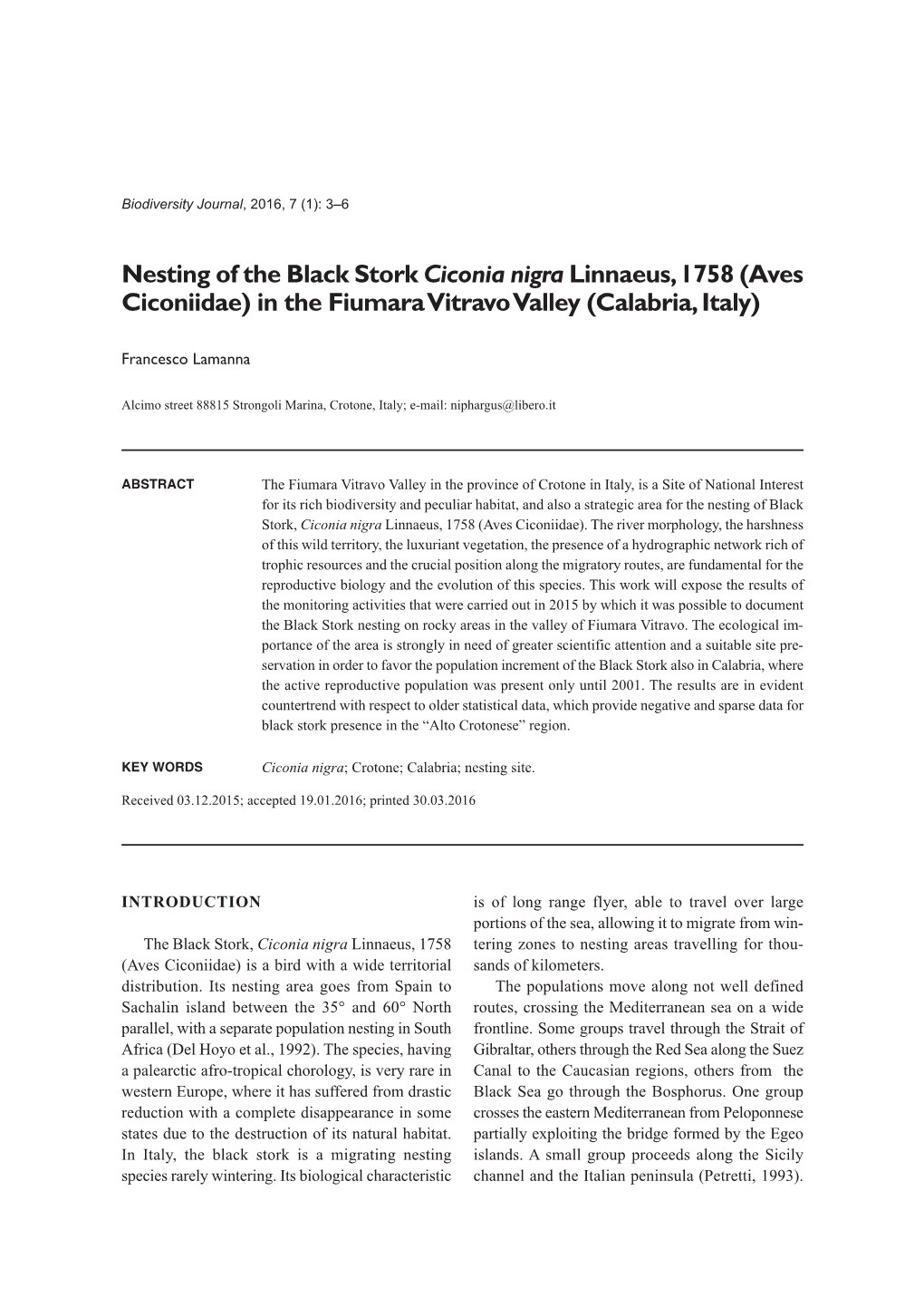 Nesting of the Black Stork Ciconia Nigra Linnaeus, 1758 (Aves Ciconiidae) in the Fiumara Vitravo Valley (Calabria, Italy)