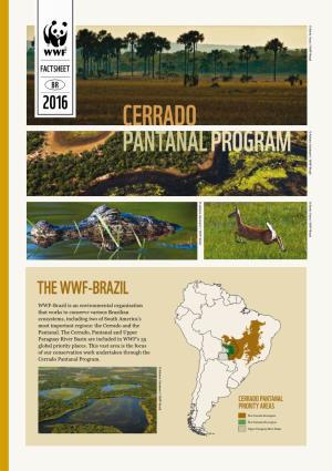 Program Cerrado Pantanal