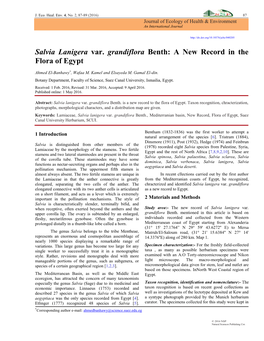 Salvia Lanigera Var. Grandiflora Benth: a New Record in the Flora of Egypt