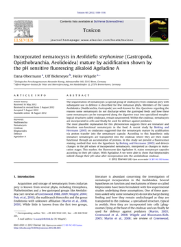 Incorporated Nematocysts in Aeolidiella Stephanieae (Gastropoda