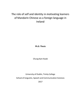 The Role of Self and Identity in Motivating Learners of Mandarin Chinese As a Foreign Language in Ireland