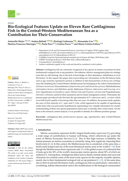 Bio-Ecological Features Update on Eleven Rare Cartilaginous Fish in the Central-Western Mediterranean Sea As a Contribution for Their Conservation