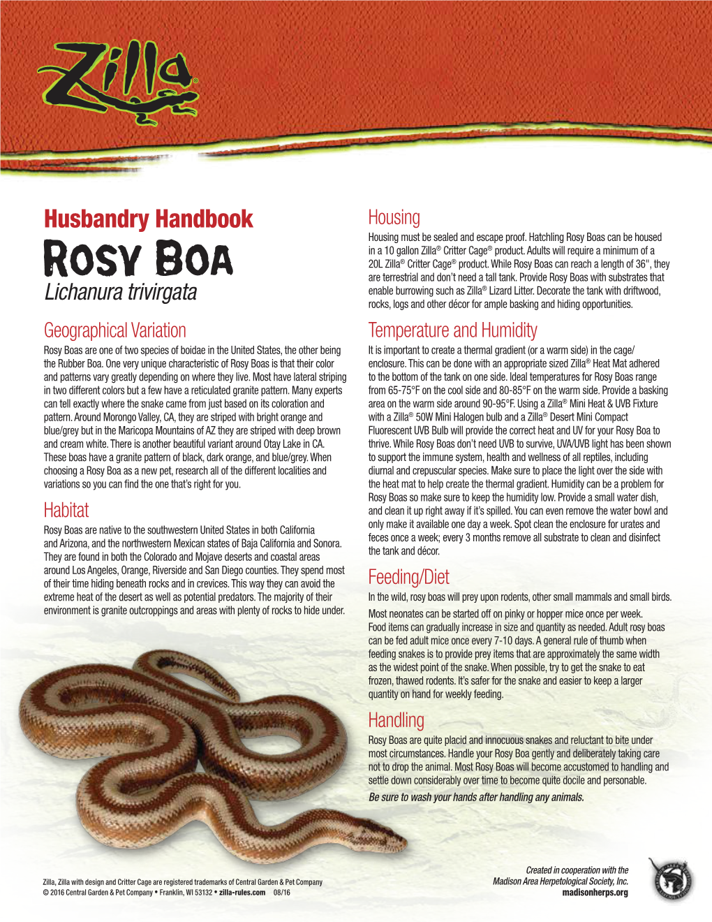 Rosy Boas Can Be Housed in a 10 Gallon Zilla® Critter Cage® Product