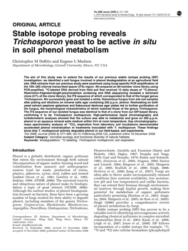 Stable Isotope Probing Reveals Trichosporon Yeast to Be Active in Situ in Soil Phenol Metabolism