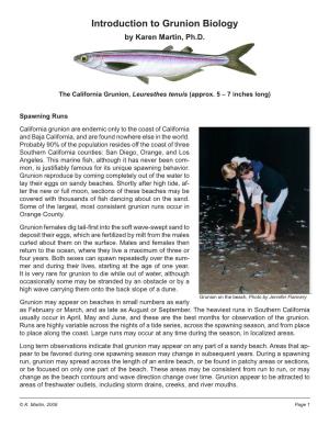 Introduction to Grunion Biology by Karen Martin, Ph.D
