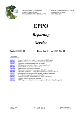 Reporting Service 2003, No