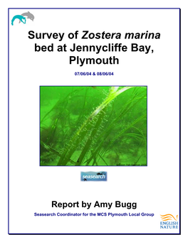 Zostera Marina Survey in Jennycliffe Bay, Plymouth