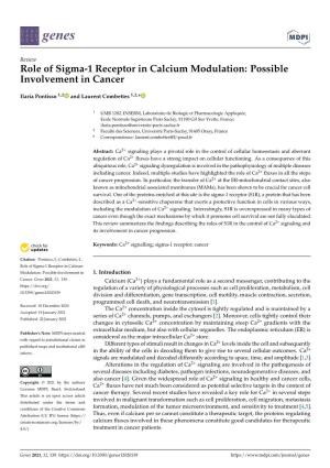 Role of Sigma-1 Receptor in Calcium Modulation: Possible Involvement in Cancer