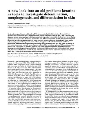 A New Look Into an Old Problem: Keratins As Tools to Investigate Determmanon, Morphogenesis, and Differentiation in Skin