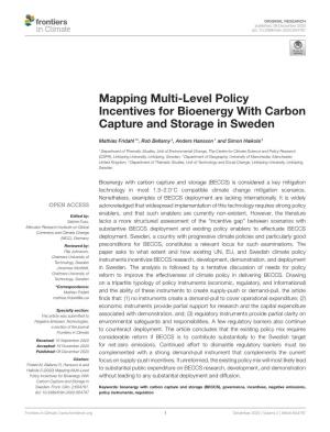 Mapping Multi-Level Policy Incentives for Bioenergy with Carbon Capture and Storage in Sweden