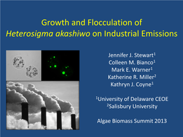 Heterosigma Akashiwo on Industrial Emissions