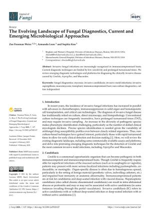 The Evolving Landscape of Fungal Diagnostics, Current and Emerging Microbiological Approaches