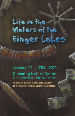 January 29 – TBA, 2020 Cumming Nature Center 6472 Gulick Road – Naples, New York