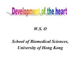 Atrioventricular Node (AVN) Originates from (I) the Left Wall of Sinus Venosus and (Ii) Superior Endocardial Cushion of the Atriventricular Canal