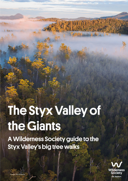 The Styx Valley of the Giants a Wilderness Society Guide to the Styx Valley’S Big Tree Walks
