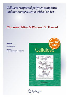Cellulose Reinforced Polymer Composites and Nanocomposites: a Critical Review