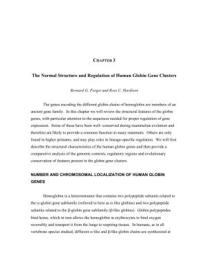The Normal Structure and Regulation of Human Globin Gene Clusters