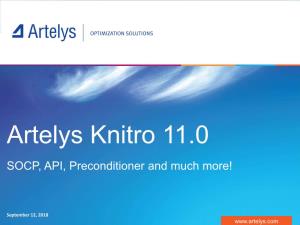 Artelys Knitro 11.0